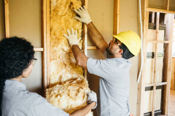 Best Insulation Contractor Near Me  in Natalia, TX