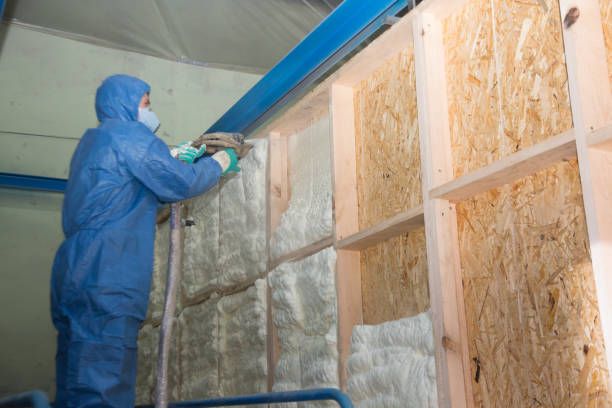 Best Spray Foam Insulation  in Natalia, TX