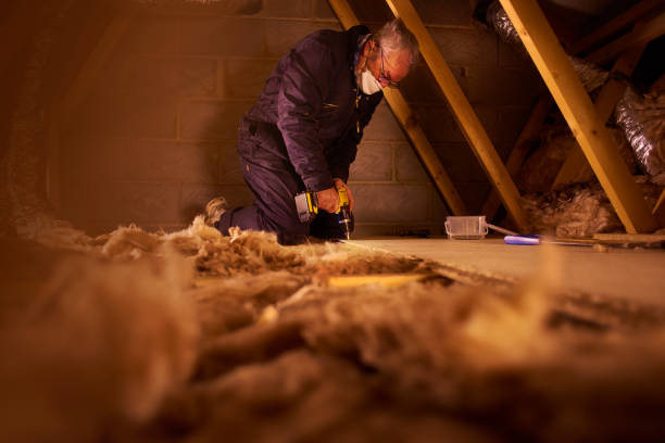 Best Insulation Inspection Services  in Natalia, TX